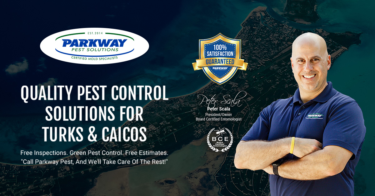 Contact Us | Parkway Pest Solutions in Turks & Caicos